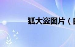 狐大盗图片（白狐mail大盗）