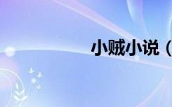 小贼小说（小贼妖舟）
