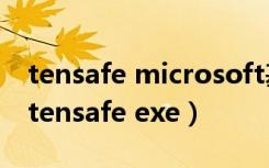 tensafe microsoft基础类应用程序是什么（tensafe exe）