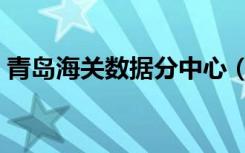 青岛海关数据分中心（青岛海关数据分中心）