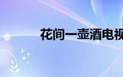 花间一壶酒电视剧（花间万花）