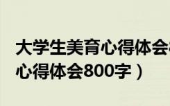 大学生美育心得体会800字免费（大学生美育心得体会800字）