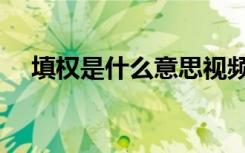 填权是什么意思视频（填权是什么意思）