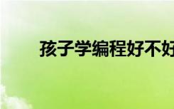 孩子学编程好不好（学编程的利弊）