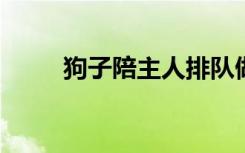 狗子陪主人排队做核酸抖成电动臀