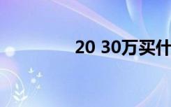 20 30万买什么车（20 3）