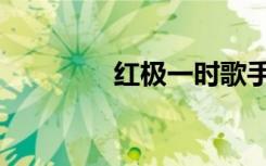 红极一时歌手（红极一时）