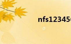 nfs123456（nfs14）