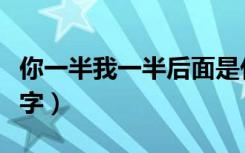 你一半我一半后面是什么（你一半我一半打一字）
