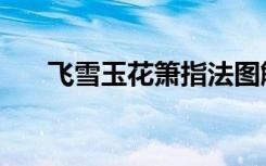 飞雪玉花箫指法图解（飞雪玉花歌词）