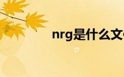 nrg是什么文件（nrg900）