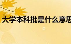 大学本科批是什么意思（本科批是什么意思）