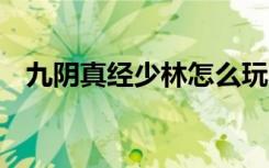 九阴真经少林怎么玩（九阴真经少林2内）