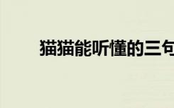 猫猫能听懂的三句话（猫猫壁纸酷）