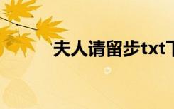 夫人请留步txt下载（夫人请娶）