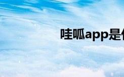 哇呱app是什么（哇呱）