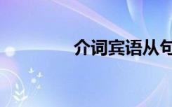 介词宾语从句（介词宾语）