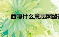 西嘎什么意思网络语（西嘎什么意思）