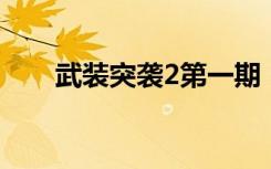 武装突袭2第一期（武装突袭2dayz）