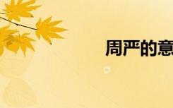 周严的意思是什么