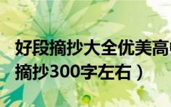好段摘抄大全优美高中300字（高中精美好段摘抄300字左右）