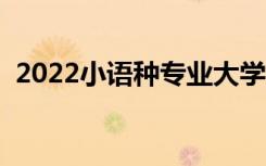 2022小语种专业大学排名（哪个大学最好）