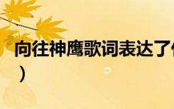 向往神鹰歌词表达了什么意思（向往神鹰歌词）