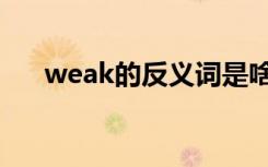 weak的反义词是啥（weak的反义词）
