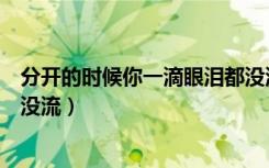 分开的时候你一滴眼泪都没流歌词（分开的时候你一滴眼泪没流）