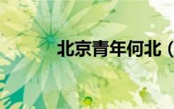 北京青年何北（北京青年何北）