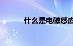什么是电磁感应（有哪些现象）