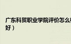 广东科贸职业学院评价怎么样（广东科贸职业学院评价好不好）