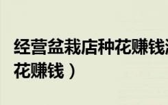 经营盆栽店种花赚钱游戏下载（经营盆栽店种花赚钱）