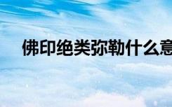 佛印绝类弥勒什么意思（佛印绝类弥勒）