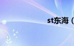 st东海（st东海）