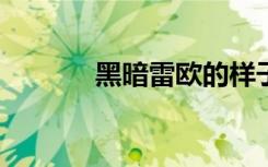 黑暗雷欧的样子（halo 原唱）