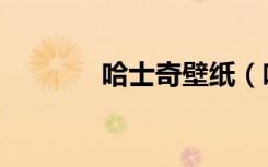 哈士奇壁纸（哈士奇俱乐部）