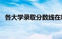 各大学录取分数线在哪里查询（查分方法）
