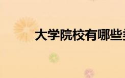 大学院校有哪些类型（如何划分）