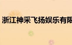 浙江神采飞扬娱乐有限公司（杭州神采飞扬）