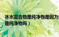 冰水混合物是纯净物是因为由同种分子构成吗（冰水混合物是纯净物吗）