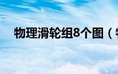 物理滑轮组8个图（物理滑轮组8个公式）
