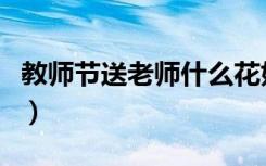 教师节送老师什么花好（教师节适合送什么花）