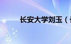 长安大学刘玉（长安大学刘永健）