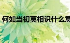 何如当初莫相识什么意思（何如当初莫相识）