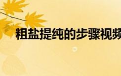 粗盐提纯的步骤视频（粗盐提纯的步骤）