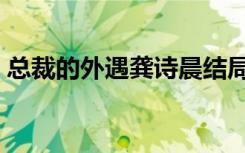 总裁的外遇龚诗晨结局（总裁的外遇柳晨枫）
