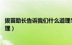 拔苗助长告诉我们什么道理50字（拔苗助长告诉我们什么道理）