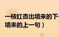 一枝红杏出墙来的下一句上一句（一枝红杏出墙来的上一句）