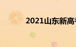 2021山东新高考物理模拟试题